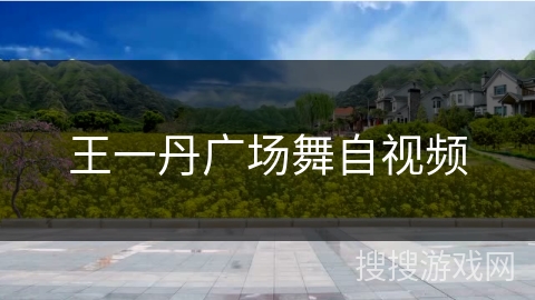 王一丹广场舞自视频 王一丹广场舞自视频