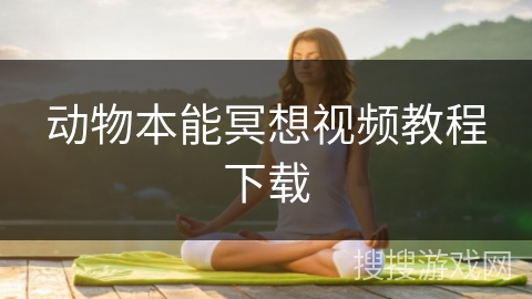 动物本能冥想视频教程下载