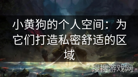 小黄狗的个人空间：为它们打造私密舒适的区域