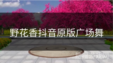 野花香抖音原版广场舞