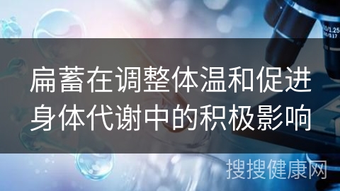 扁蓄在调整体温和促进身体代谢中的积极影响