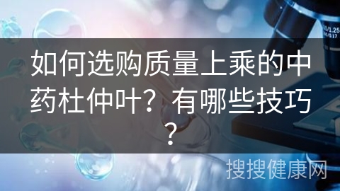 如何选购质量上乘的中药杜仲叶？有哪些技巧？