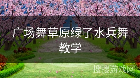广场舞草原绿了水兵舞教学