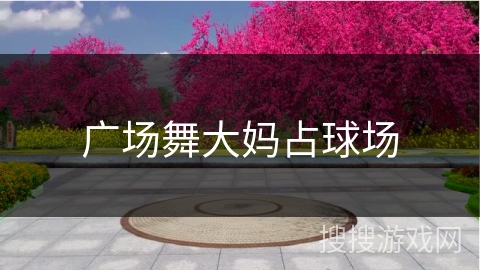 广场舞大妈占球场 广场舞大妈占球场