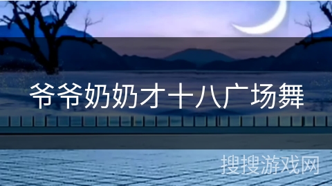 爷爷奶奶才十八广场舞