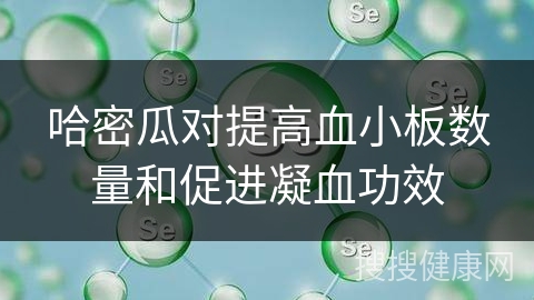 哈密瓜对提高血小板数量和促进凝血功效