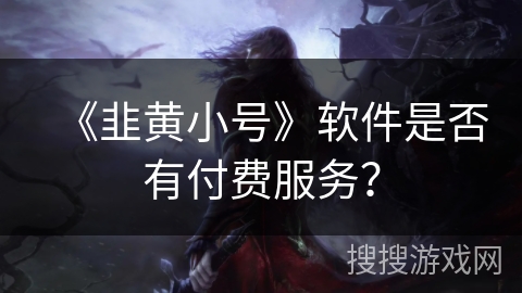 《韭黄小号》软件是否有付费服务？