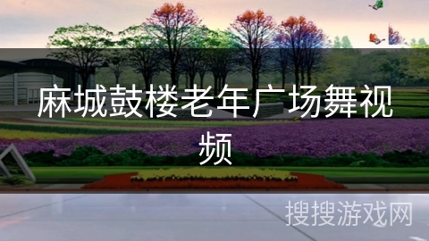 麻城鼓楼老年广场舞视频