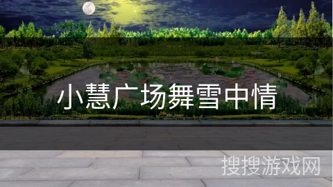 小慧广场舞雪中情