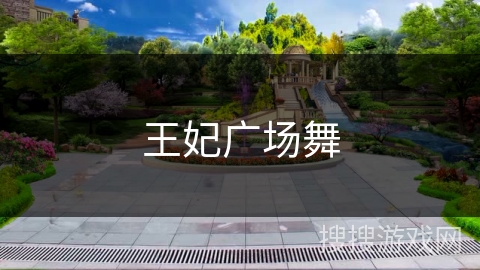 王妃广场舞