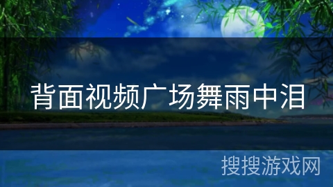 背面视频广场舞雨中泪