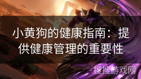 小黄狗的健康指南:提供健康管理的重要性 小黄狗的健康指南:提供健康管理的重要性