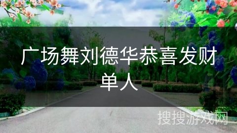 广场舞刘德华恭喜发财单人