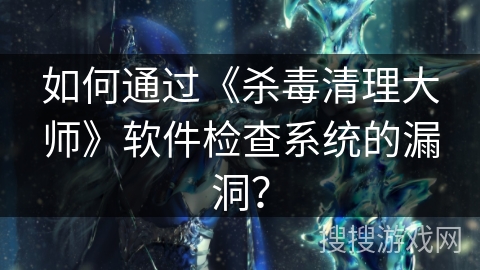 如何通过《杀毒清理大师》软件检查系统的漏洞? 如何通过《杀毒清理大师》软件检查系统的漏洞?