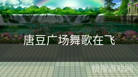 唐豆广场舞歌在飞
