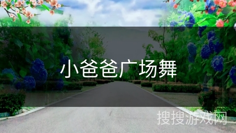 小爸爸广场舞