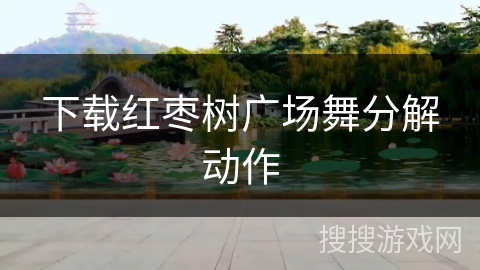 下载红枣树广场舞分解动作