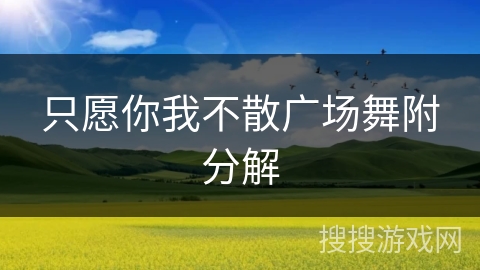 只愿你我不散广场舞附分解