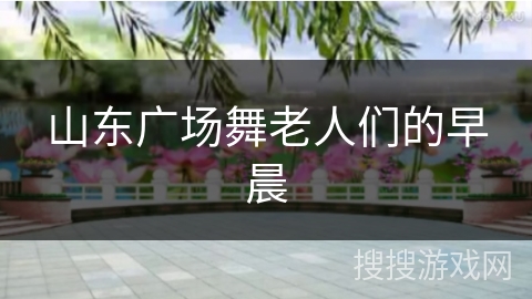 山东广场舞老人们的早晨