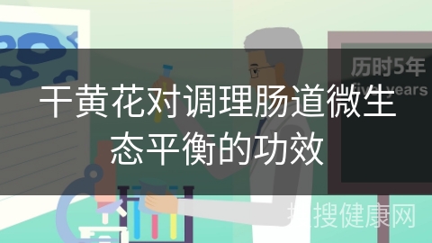 干黄花对调理肠道微生态平衡的功效