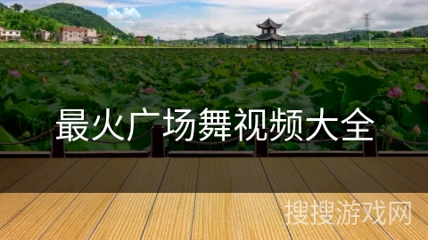 最火广场舞视频大全