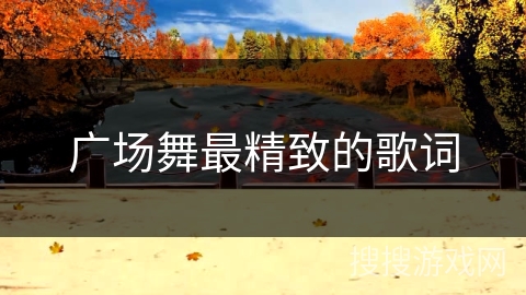 广场舞最精致的歌词 广场舞最精致的歌词