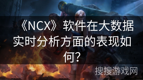《NCX》软件在大数据实时分析方面的表现如何？