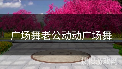 广场舞老公动动广场舞