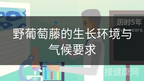 野葡萄藤的生长环境与气候要求