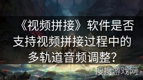 《视频拼接》软件是否支持视频拼接过程中的多轨道音频调整？