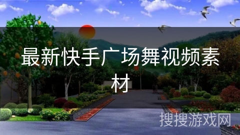 最新快手广场舞视频素材