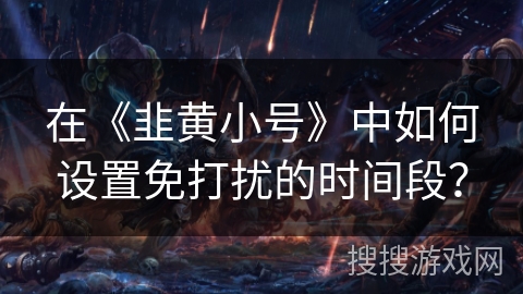 在《韭黄小号》中如何设置免打扰的时间段? 在《韭黄小号》中如何设置免打扰的时间段?