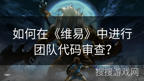 如何在《维易》中进行团队代码审查？