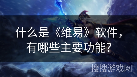 什么是《维易》软件，有哪些主要功能？