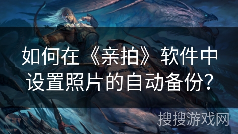 如何在《亲拍》软件中设置照片的自动备份？