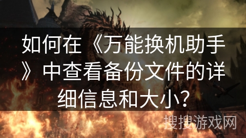 如何在《万能换机助手》中查看备份文件的详细信息和大小？