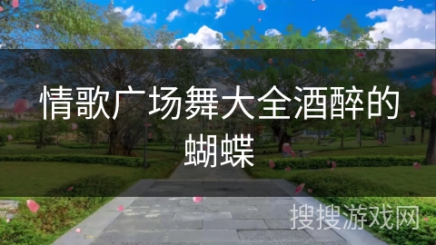 情歌广场舞大全酒醉的蝴蝶