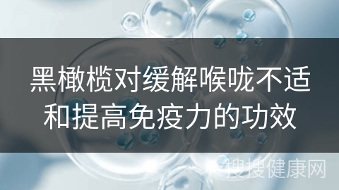 黑橄榄对缓解喉咙不适和提高免疫力的功效