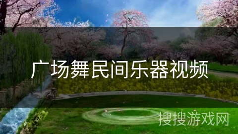 广场舞民间乐器视频