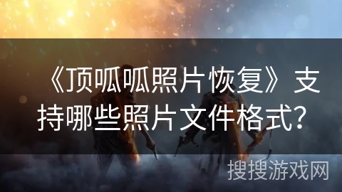 《顶呱呱照片恢复》支持哪些照片文件格式？