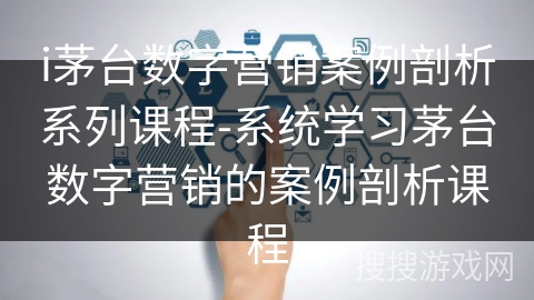 i茅台数字营销案例剖析系列课程-系统学习茅台数字营销的案例剖析课程