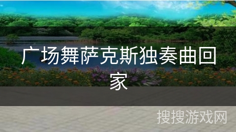 广场舞萨克斯独奏曲回家