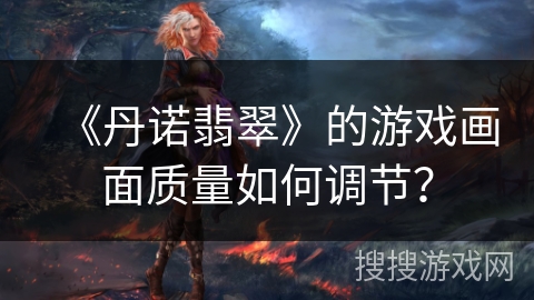 《丹诺翡翠》的游戏画面质量如何调节？