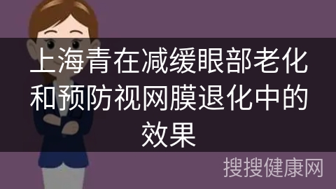 上海青在减缓眼部老化和预防视网膜退化中的效果