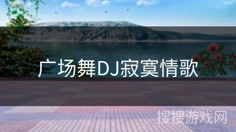 广场舞DJ寂寞情歌