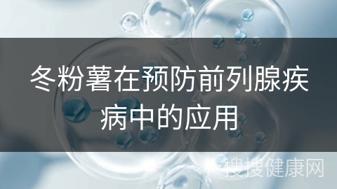 冬粉薯在预防前列腺疾病中的应用