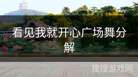 看见我就开心广场舞分解