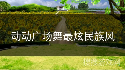 动动广场舞最炫民族风