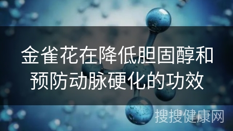 金雀花在降低胆固醇和预防动脉硬化的功效