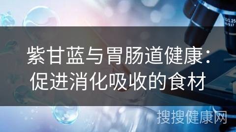 紫甘蓝与胃肠道健康：促进消化吸收的食材